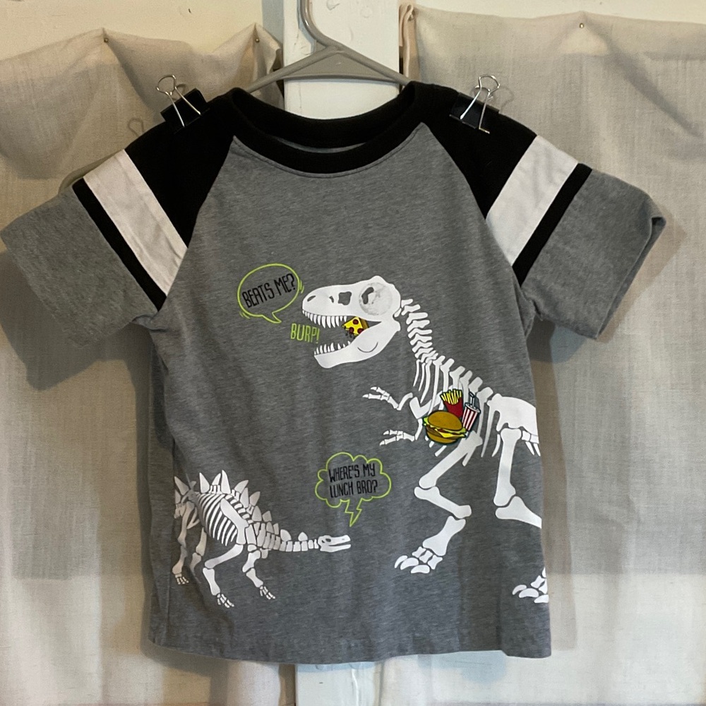 Gray Dinosaur Graphic Kids Shirt